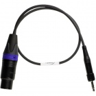 ambient_recording_ak_xlr3f_3_5ew_sny_adapter_cable_xlr_3f_to_3_5mm_1602756343_1585864