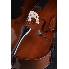 violoncello