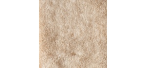 066307_overcovers_advanced_beige_2