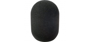 45-100_large_diaphragm_mic_foam-single