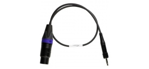 ambient_recording_ak_xlr3f_3_5ew_sny_adapter_cable_xlr_3f_to_3_5mm_1602756343_1585864