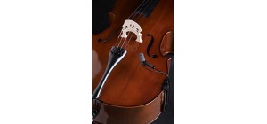 violoncello