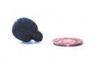 105526_neoprene_coated_mini_lavalier_foam